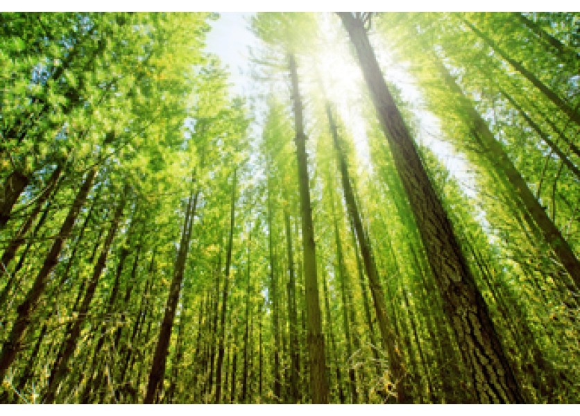 Pre stredoškolákov vznikajú nové odbory