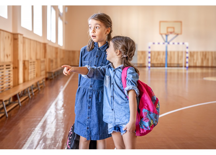 Rezort školstva: Takmer tretina škôl s počtom 150 až 600 žiakov nemá telocvičňu