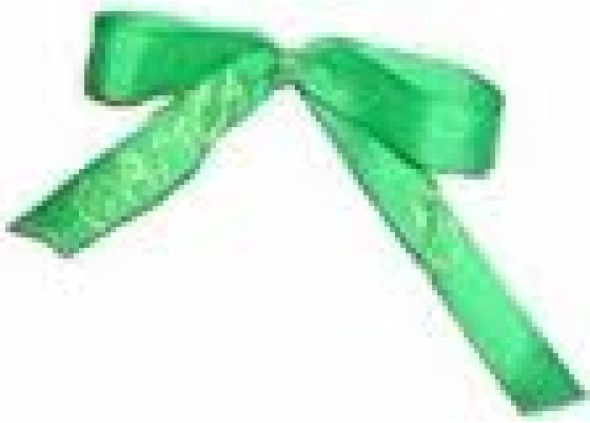 Najlepšie sa maturantom písalo o ich ceste k dospelosti