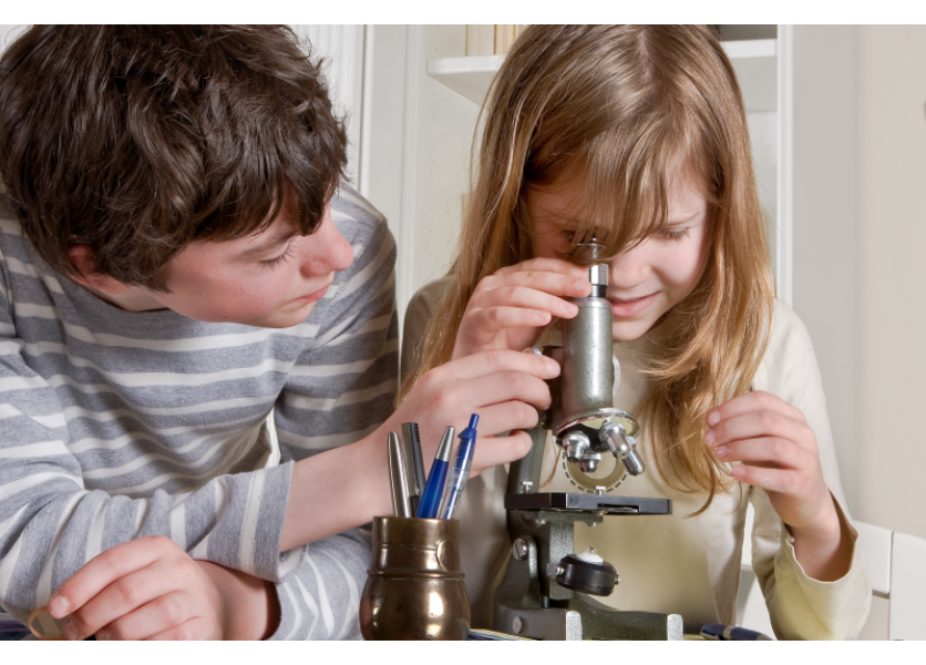 Rezort školstva pracuje na Národnej stratégii zručností pre SR