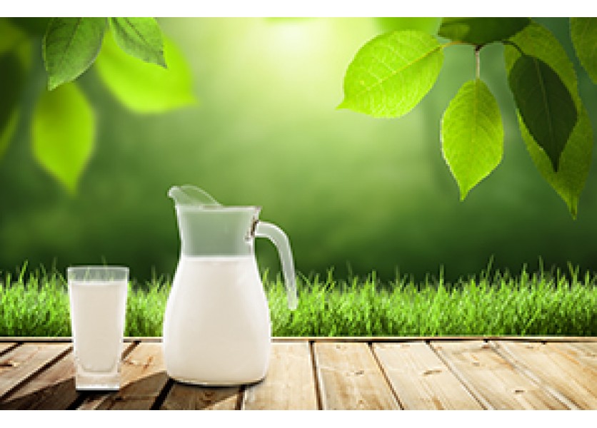 Žiaci zaplatia v školách za mliečne výrobky menej