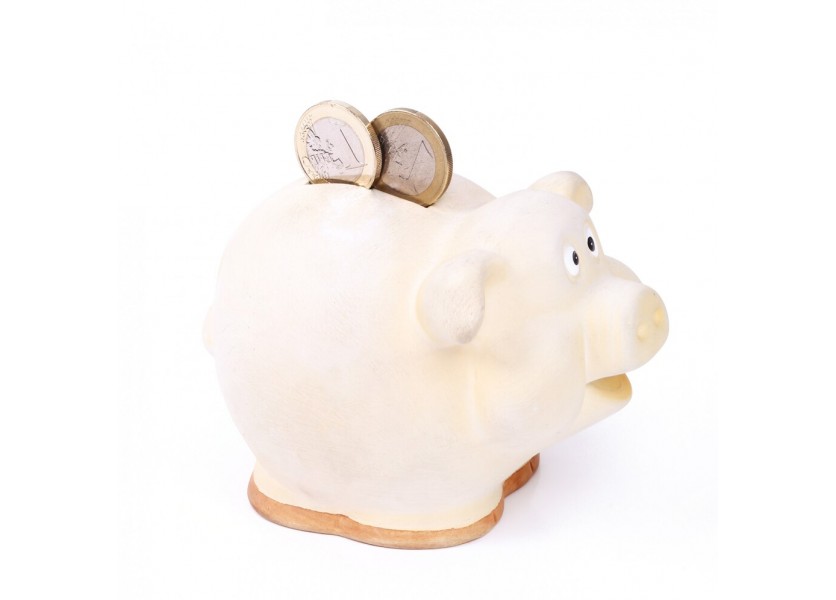 Analytici: Vlani sa reálne platy učiteľov nezmenili Analytici: Vlani sa reálne platy učiteľov nezmenili