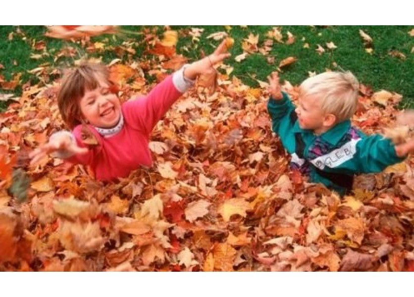 Edukačná aktivita „Na hrušky“