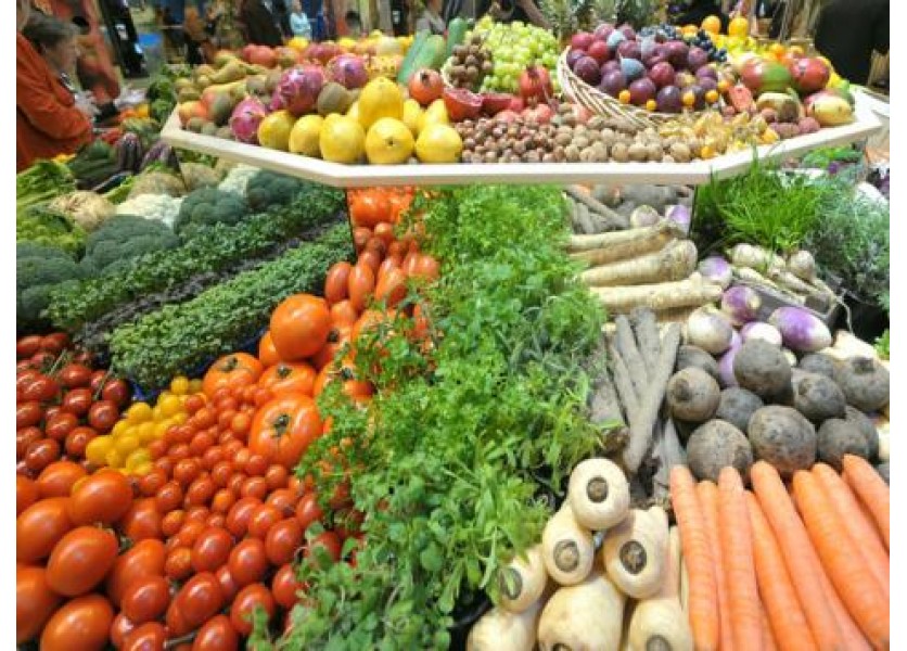 Pripravuje školenia pre Program ovocie a zelenina do škôl