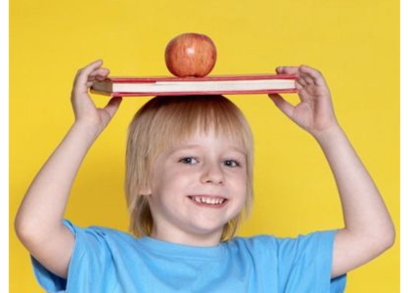 PPA schválila vlani 9 dodávateľov ovocia a zeleniny pre 155 škôl