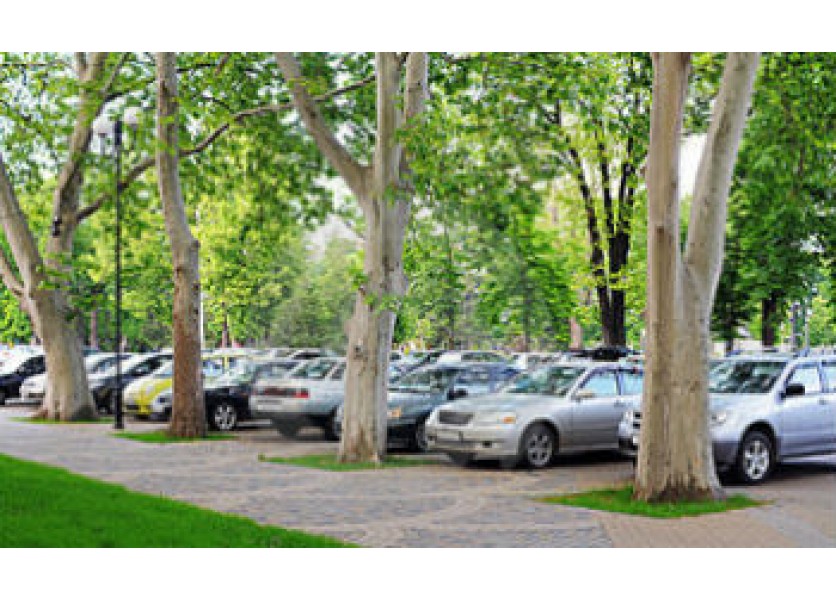 Miesta na parkovanie zaberajú študenti