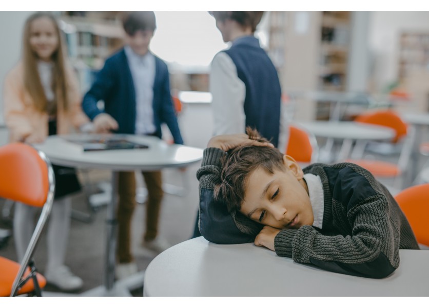 Šikana v školskom prostredí Šikana v školskom prostredí