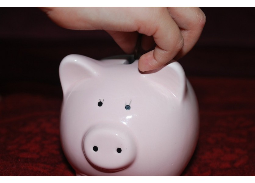 MŠVVaŠ SR: S rozvojom finančnej gramotnosti treba začať už v MŠ