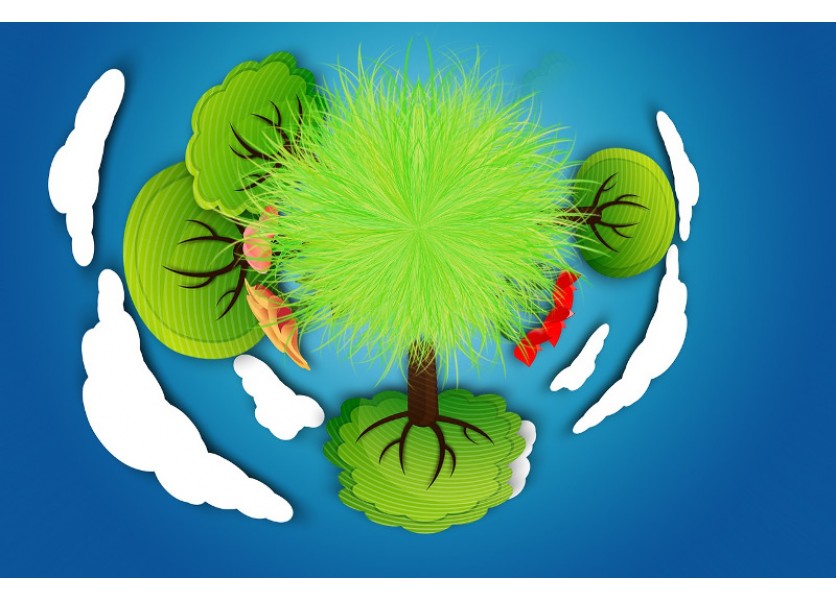 PREŠOV: Materská škola Mirka Nešpora obhájila titul zelenej školy