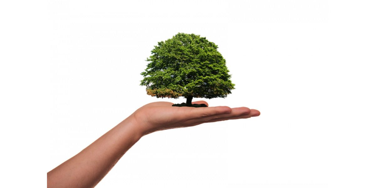 Rezort školstva podporí 30 projektov environmentálnej výchovy Rezort školstva podporí 30 projektov environmentálnej výchovy