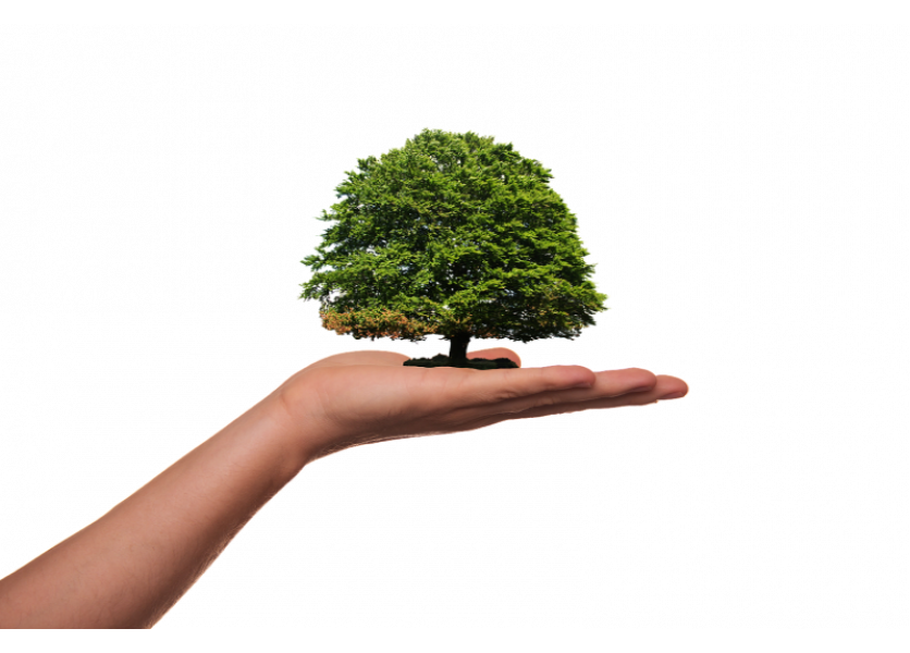 Rezort školstva podporí 30 projektov environmentálnej výchovy