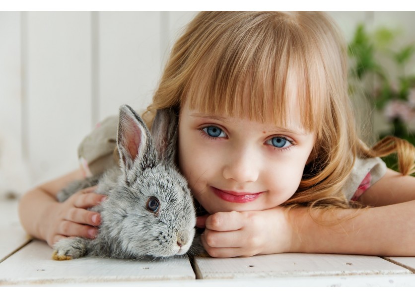 Pomôžte deťom spoznať ríšu zvierat