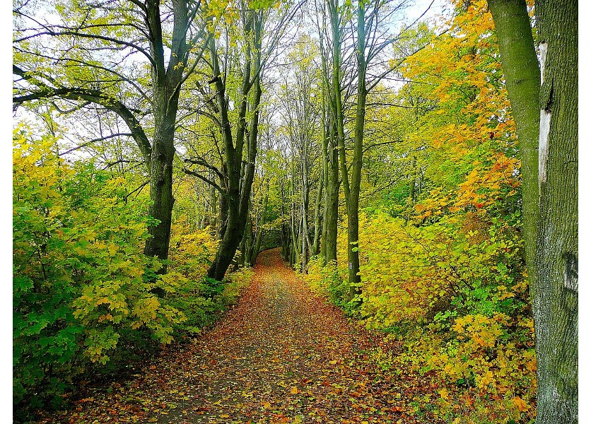 SNS: Predstavila zmeny v brannej výchove na školách