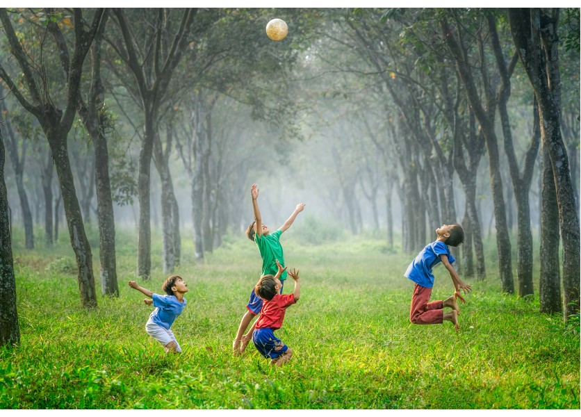 Rezort školstva chce zlepšiť stav v oblasti pohybových aktivít
