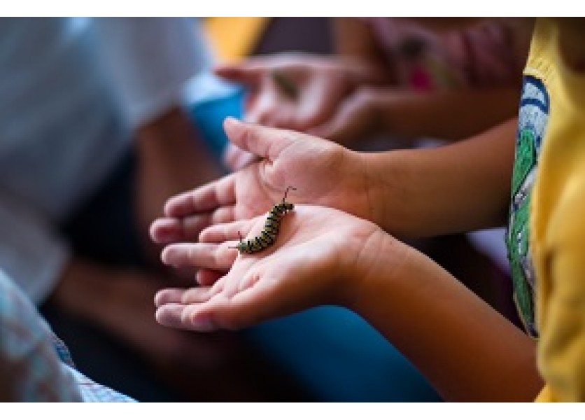 RAABE koordinátorom medzinárodného projektu na podporu výučby prírodovedných predmetov