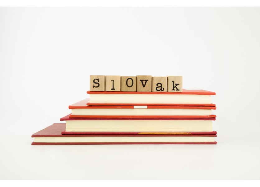 V školách s maďarským vyučovacím jazykom ministerstvo odporúča učiť slovenčinu ako cudzí jazyk