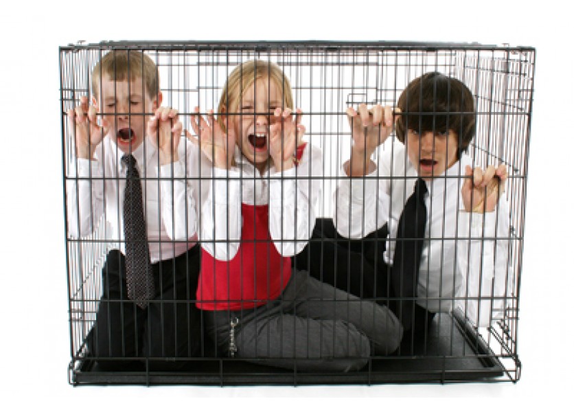 Čaplovič podľa Poliačika uniformuje štúdium