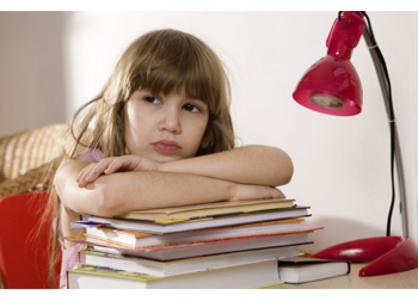 Maďari chcú učebnice od vlastných odborníkov, nie preklady