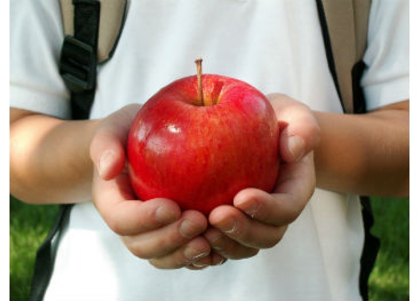 Kvalitná výživa ako prevencia únavy