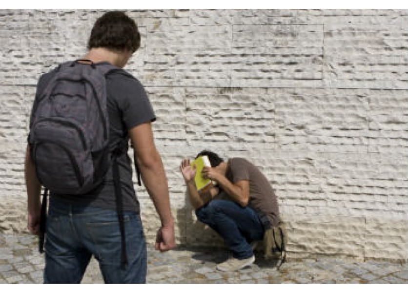 Celoškolská stratégia prevencie šikanovania