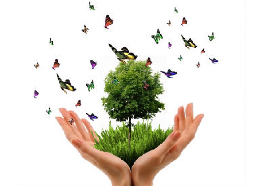 Význam environmentálnej výchovy v materskej škole