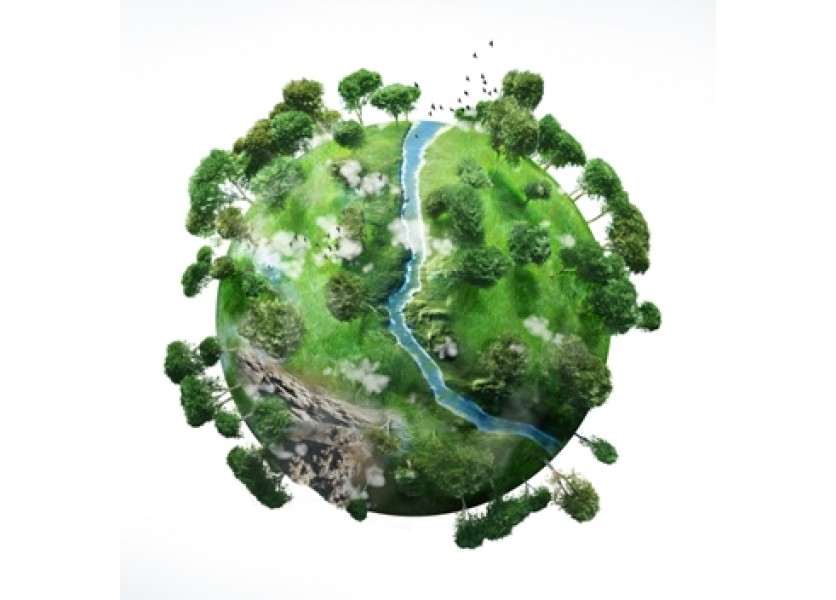 Program Zelená škola