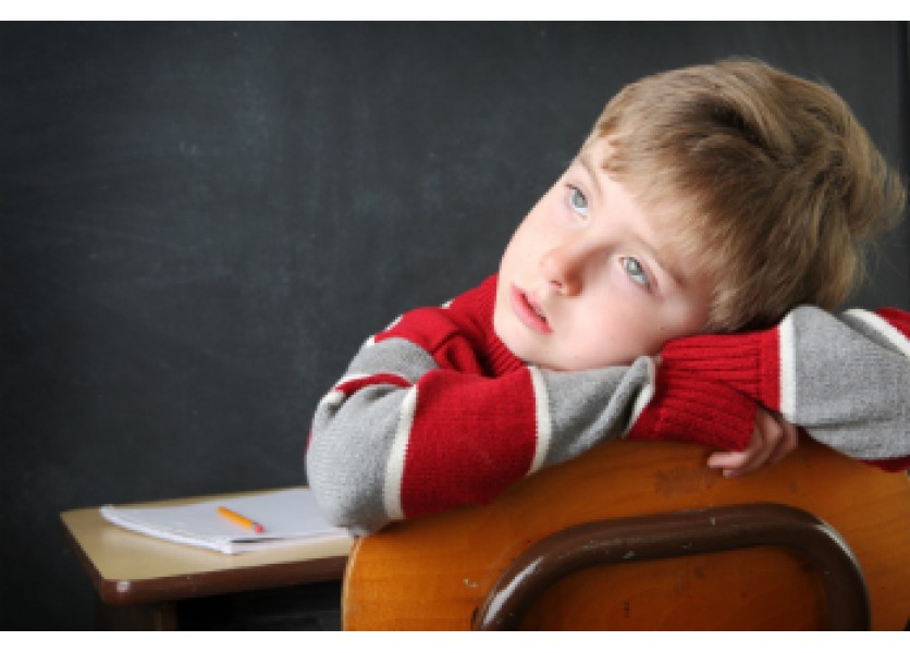 Prevencia vzniku samotárskeho správania