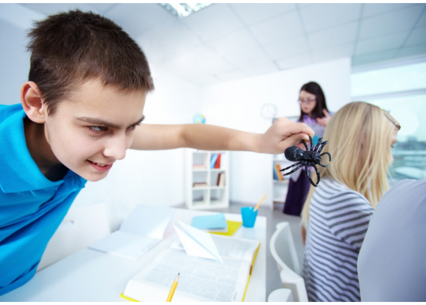 Prečo majú deti potrebu navzájom sa urážať a šikanovať?