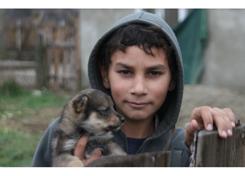 Podarilo sa zvýšiť počet učiteľov v oblasti využívania rómskeho jazyka