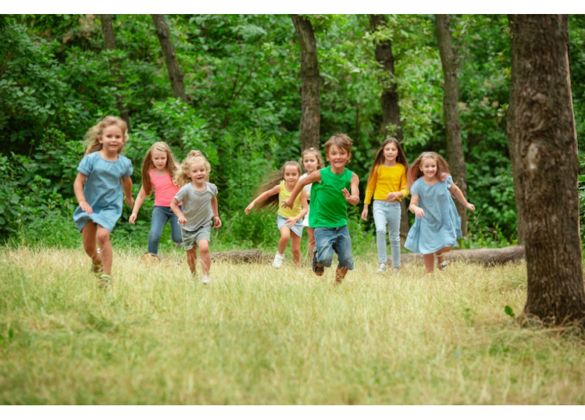 Spôsob pridelenia príspevku na školu v prírode na rok 2023