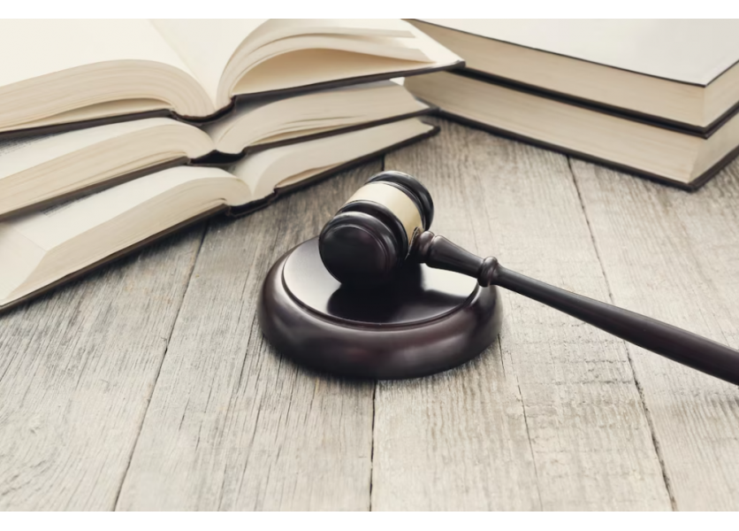 SaS: Sme otvorení dohode o školskom zákone, na rade je Heger