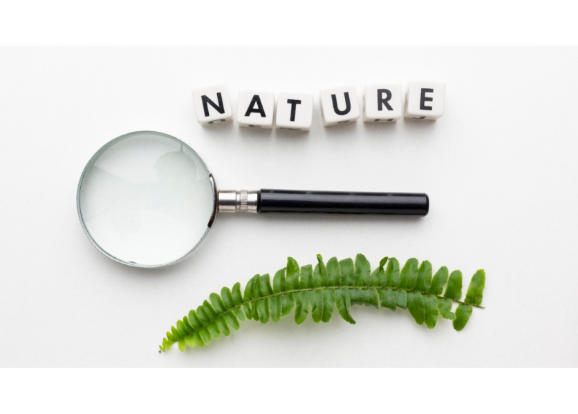 Univerzita Konštantína Filozofa pripravila pre deti základných škôl prírodovedné krúžky 