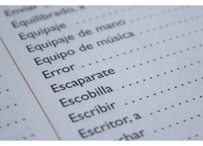 Imigranti chcú v školách namiesto angličtiny turečtinu, Nemci sa búria