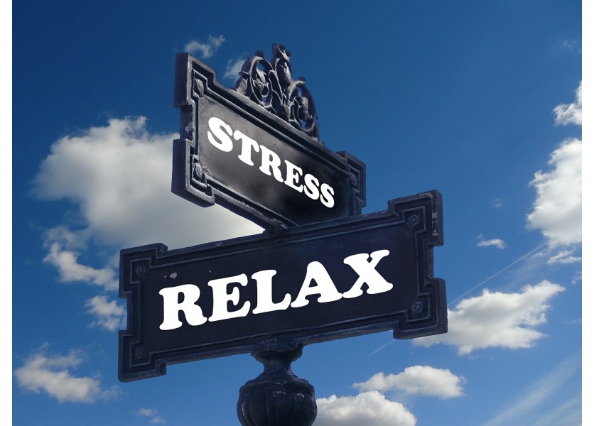 S. Síthová: Zmenou poradenského systému získa podporu každé jedno dieťa