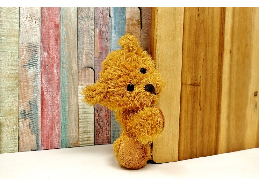 D. Streda získala príspevok od maďarskej vlády na rekonštrukciu MŠ