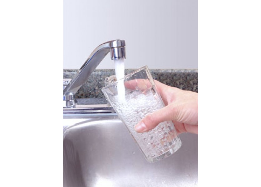 Spolupráca školy s RÚVZ