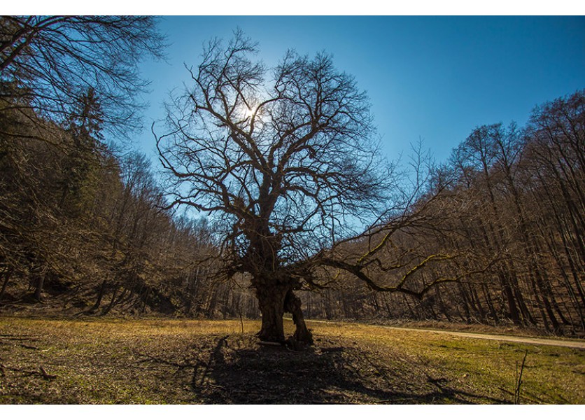 ŠPÚ ZORGANIZOVAL PRE UČITEĽOV EXKURZIE NA PODPORU ROZVÍJANIA PRÍRODOVEDNEJ GRAMOTNOSTI DETÍ