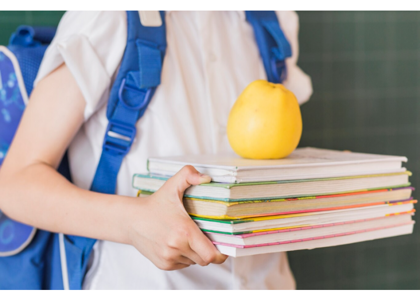 V4 vo vzdelávaní spájajú spoločné problémy a výzvy