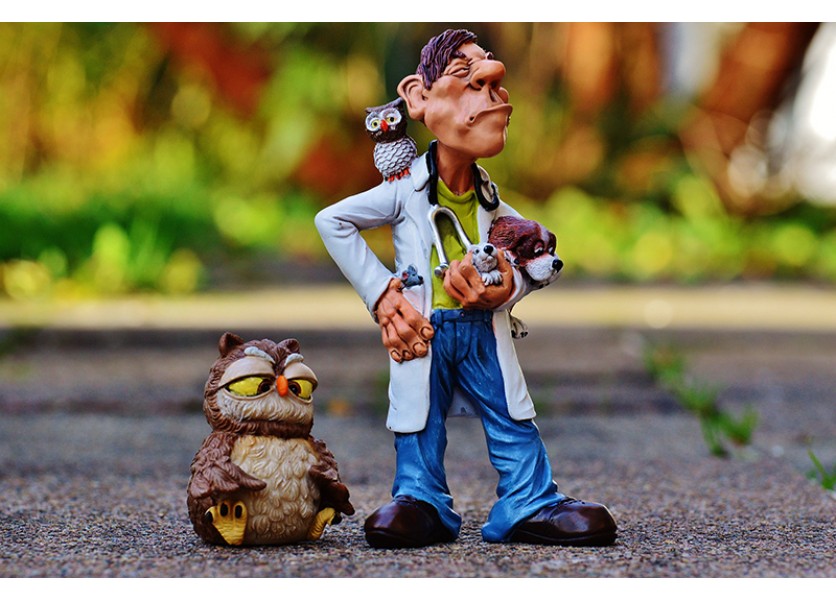 Na SOŠ pribudnú od 2017/2018 nové študijné odbory